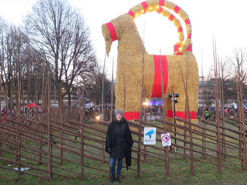 Festlig indvielse af Gävlebocken med julemusik og fyrværkeri